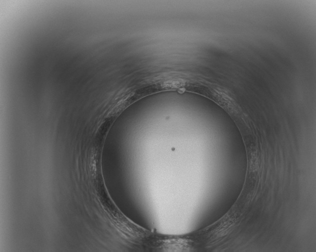 X0000060240363200511041303