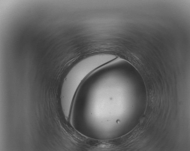 X0000060240364200511041303