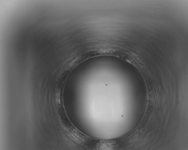 X0000060240368200511041303