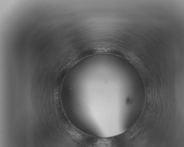 X0000060240369200511041303