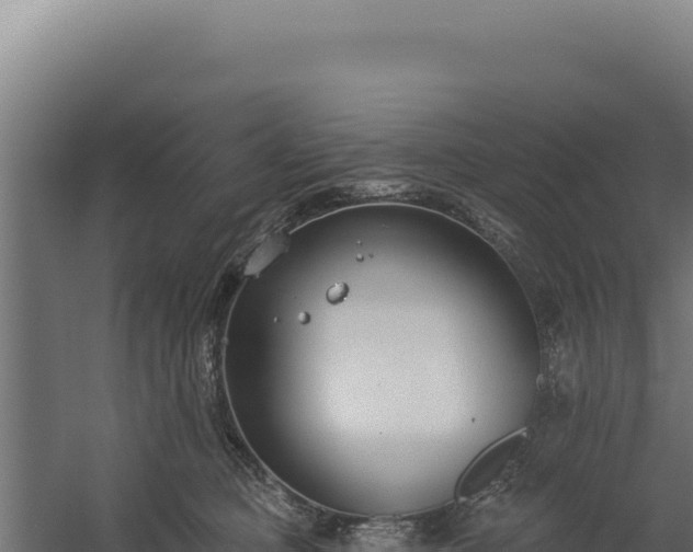 X0000060240373200511041303