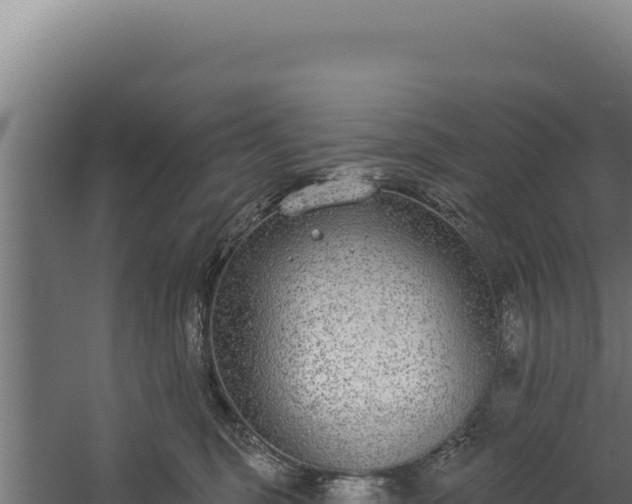 X0000060240375200511041303