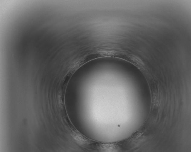 X0000060240377200511041303