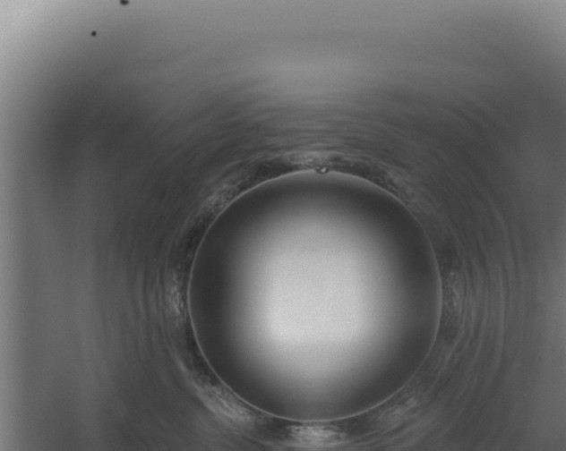 X0000060240380200511041303