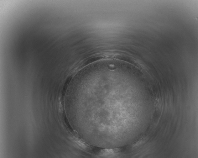 X0000060240381200511041303