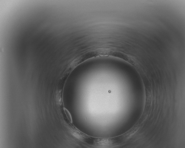 X0000060240383200511041303