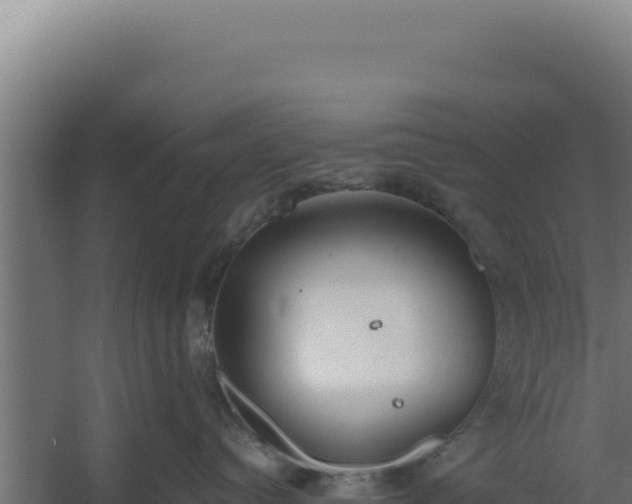 X0000060240384200511041303