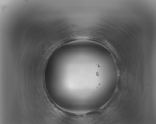 X0000060240385200511041302