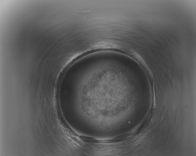 X0000060240387200511041302