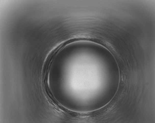 X0000060240388200511041302