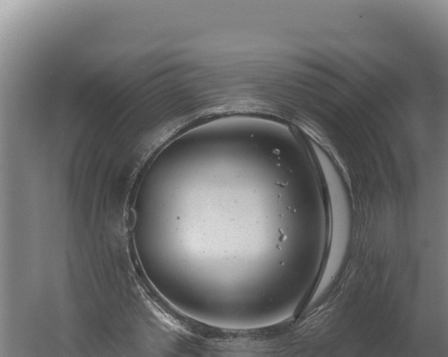 X0000060240389200511041302