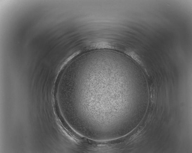 X0000060240390200511041302