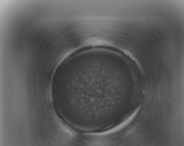 X0000060240391200511041302