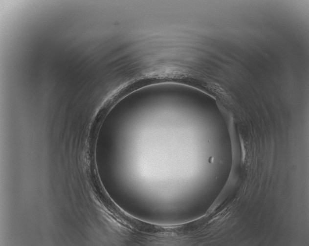 X0000060240392200511041302