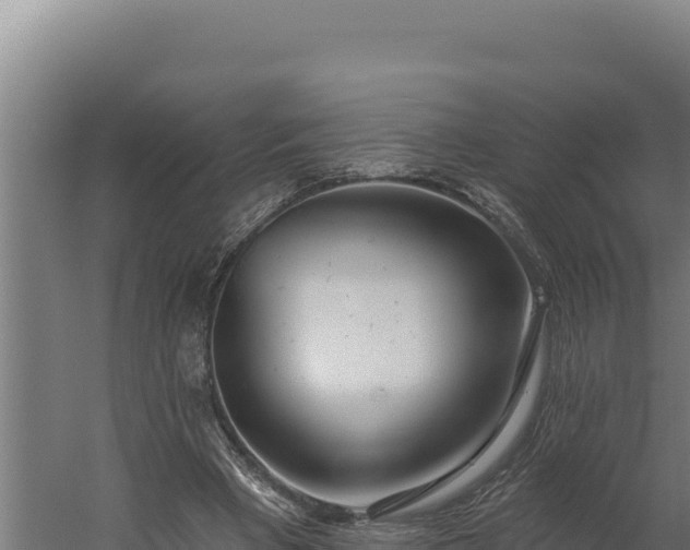 X0000060240393200511041302