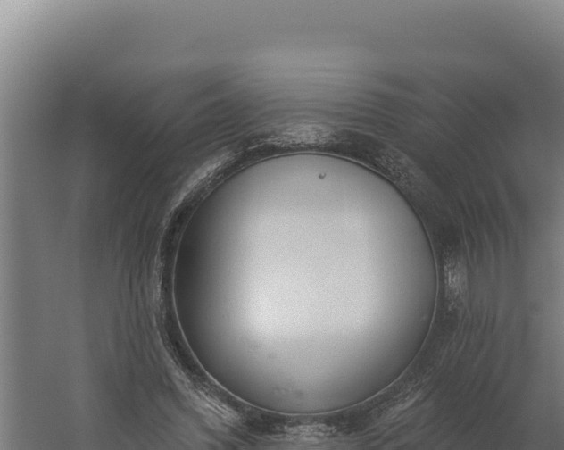 X0000060240396200511041302