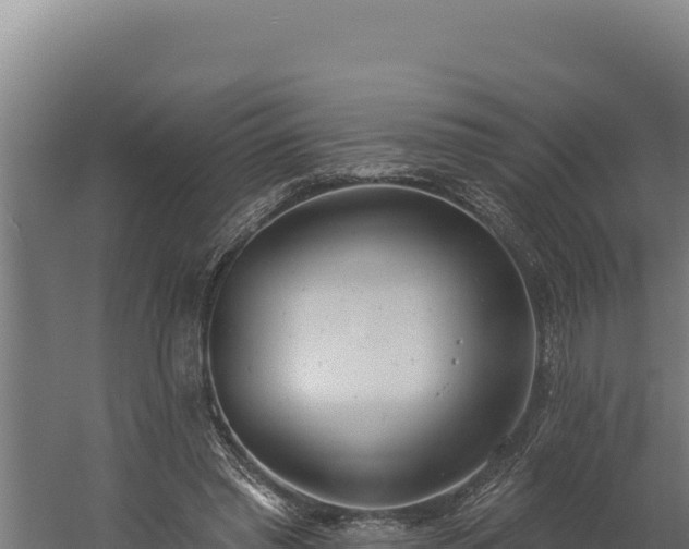 X0000060240397200511041302