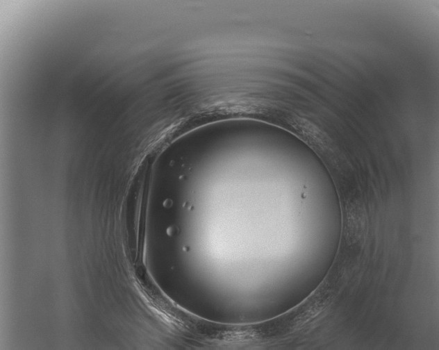 X0000060240398200511041302