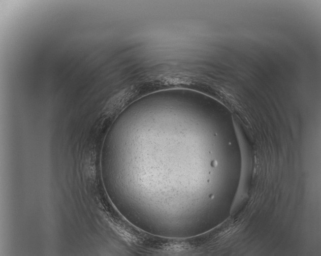 X0000060240402200511041302