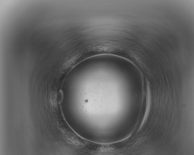 X0000060240403200511041302