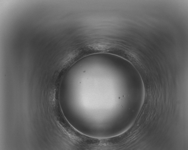 X0000060240404200511041302