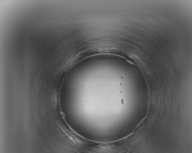 X0000060240405200511041302