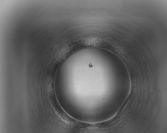 X0000060240408200511041302