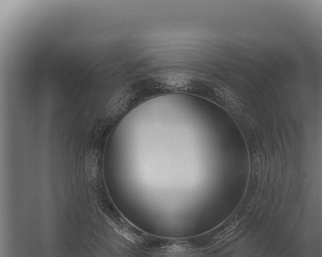 X0000060240412200511041302