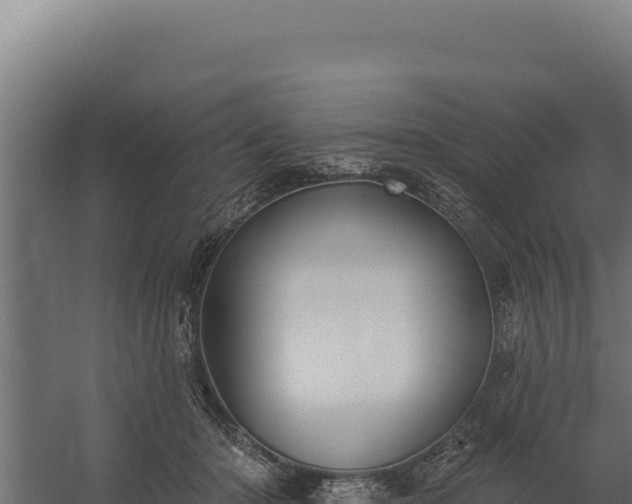 X0000060240414200511041302