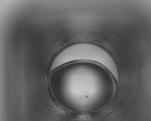 X0000060240415200511041302