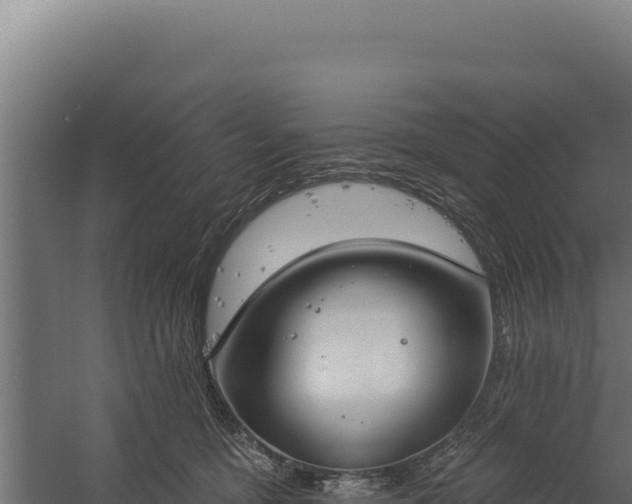 X0000060240419200511041302