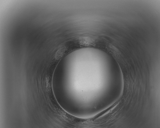 X0000060240420200511041302