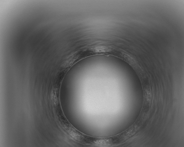 X0000060240422200511041302