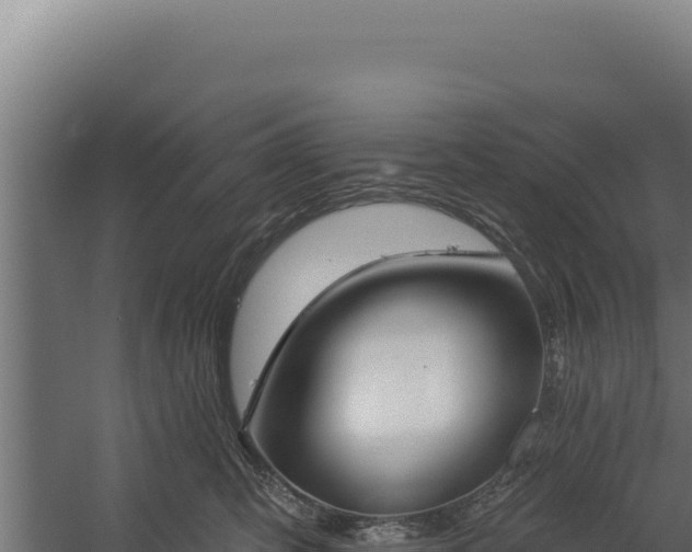 X0000060240423200511041302