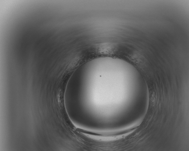 X0000060240424200511041302