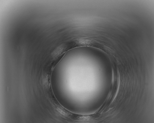 X0000060240428200511041302