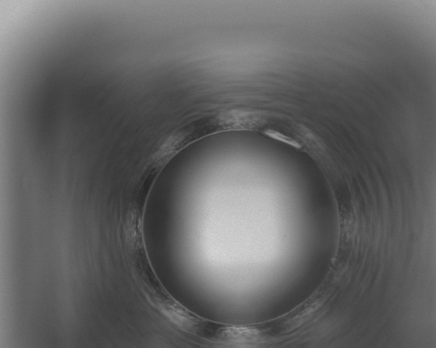 X0000060240429200511041302