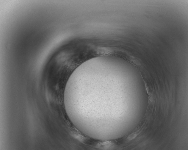 X0000060240431200511041302