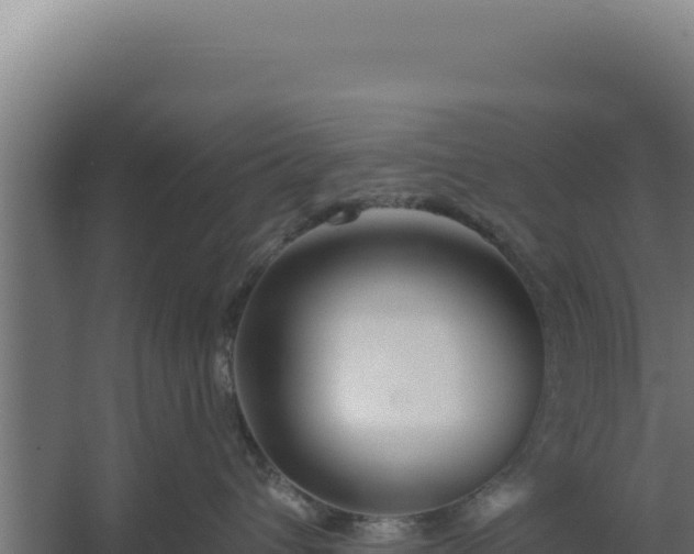 X0000060240432200511041302