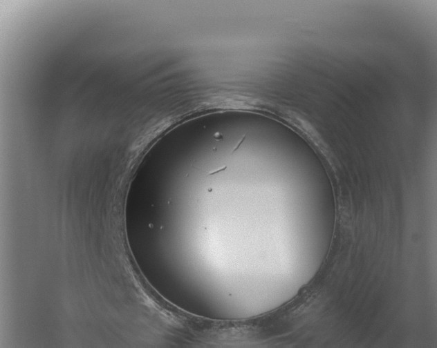 X0000060240433200511041301