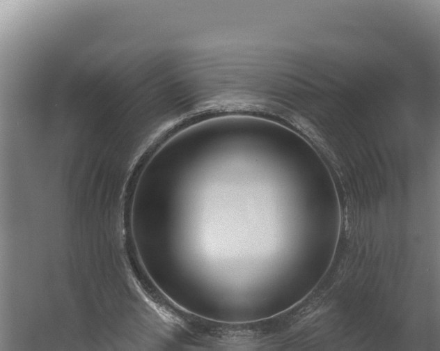 X0000060240438200511041301