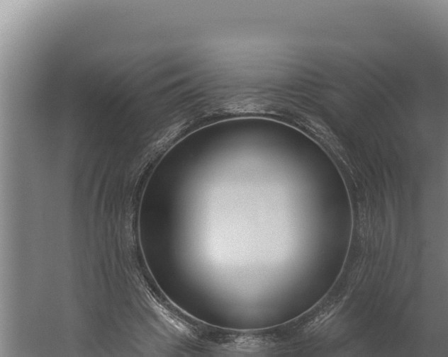 X0000060240441200511041301