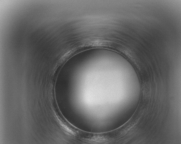 X0000060240445200511041301