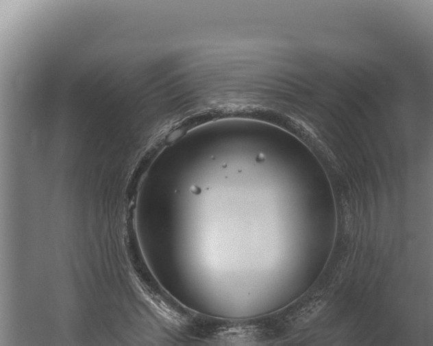 X0000060240447200511041301