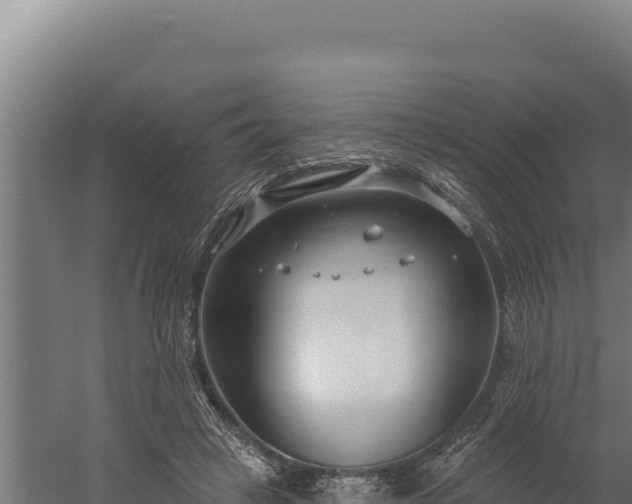 X0000060240449200511041301