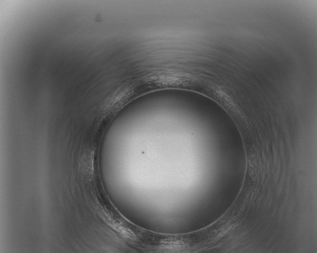 X0000060240454200511041301