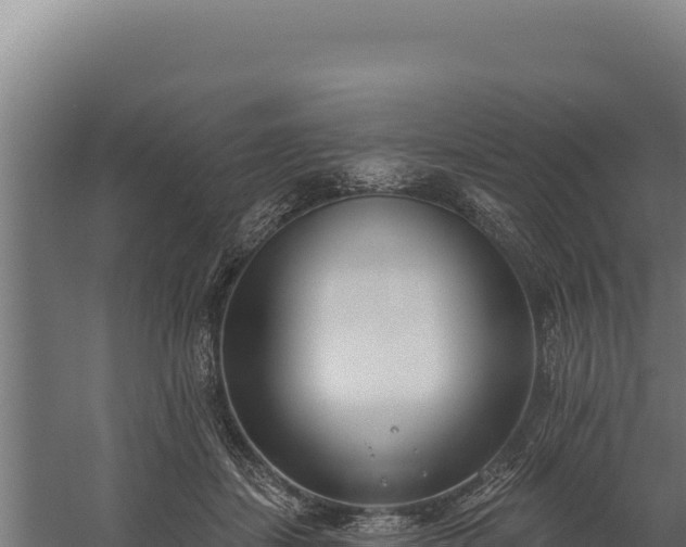 X0000060240459200511041301