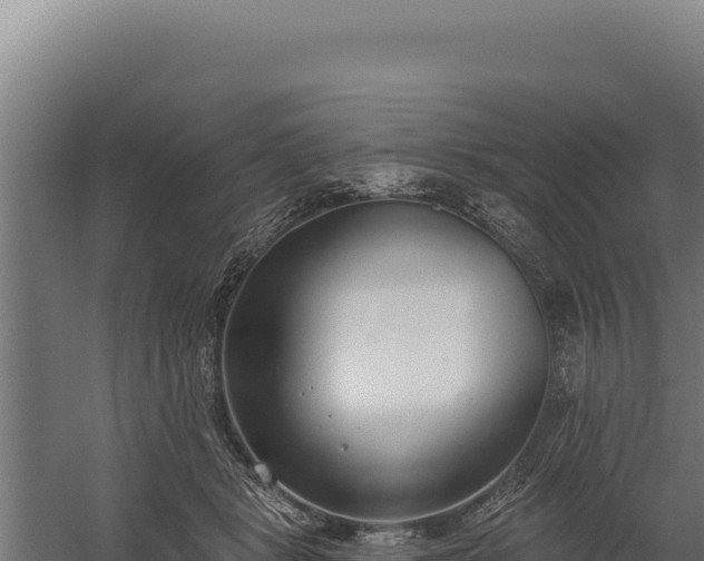 X0000060240461200511041301