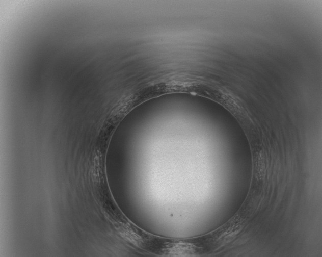 X0000060240463200511041301