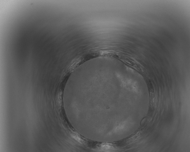 X0000060240475200511041302